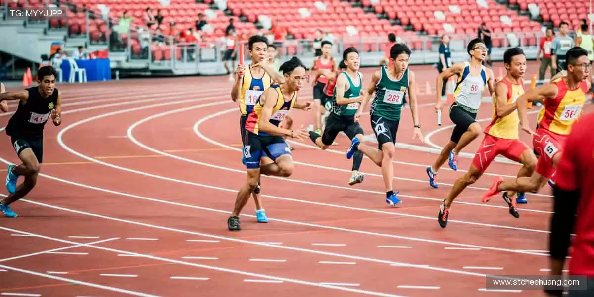 高清画质，畅享赛事！🎥🏒